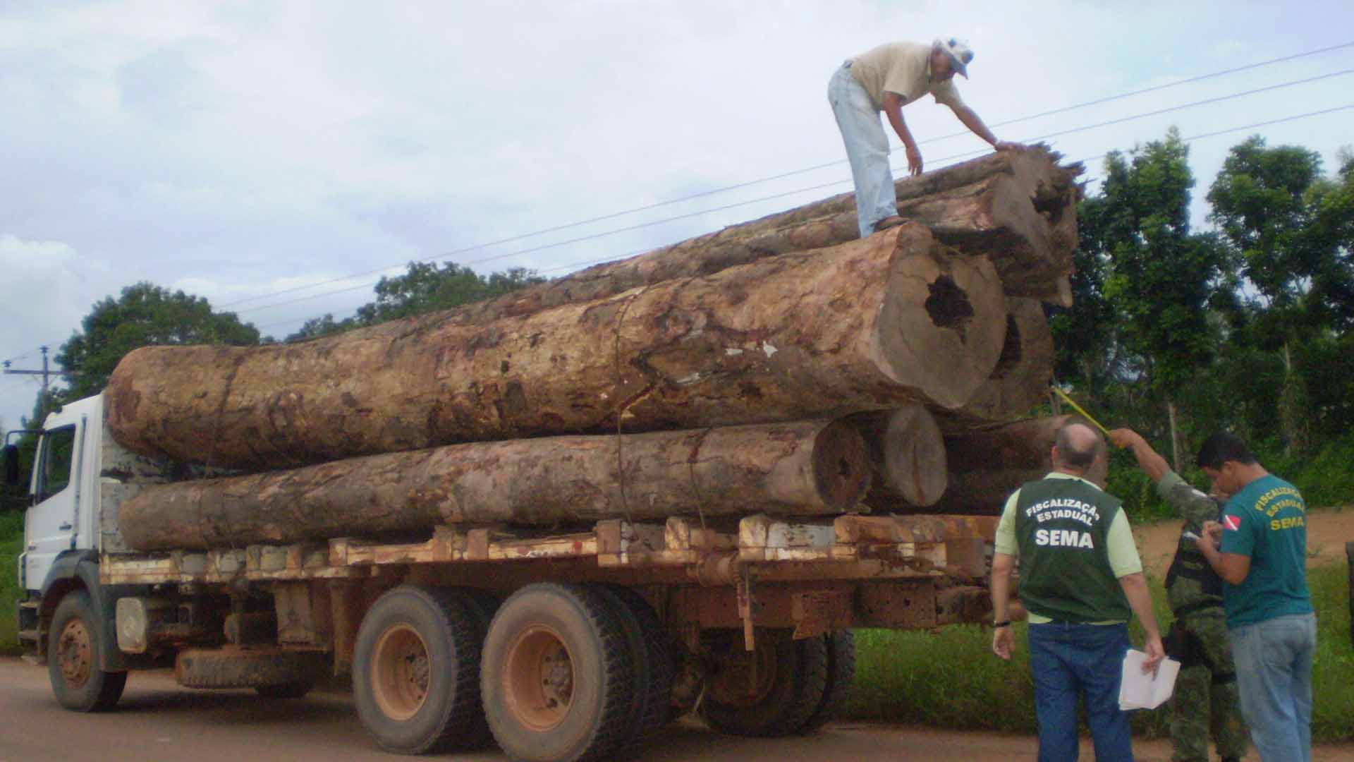 Câmara exime o motorista do caminhão de culpa, ao transportar madeira irregular
