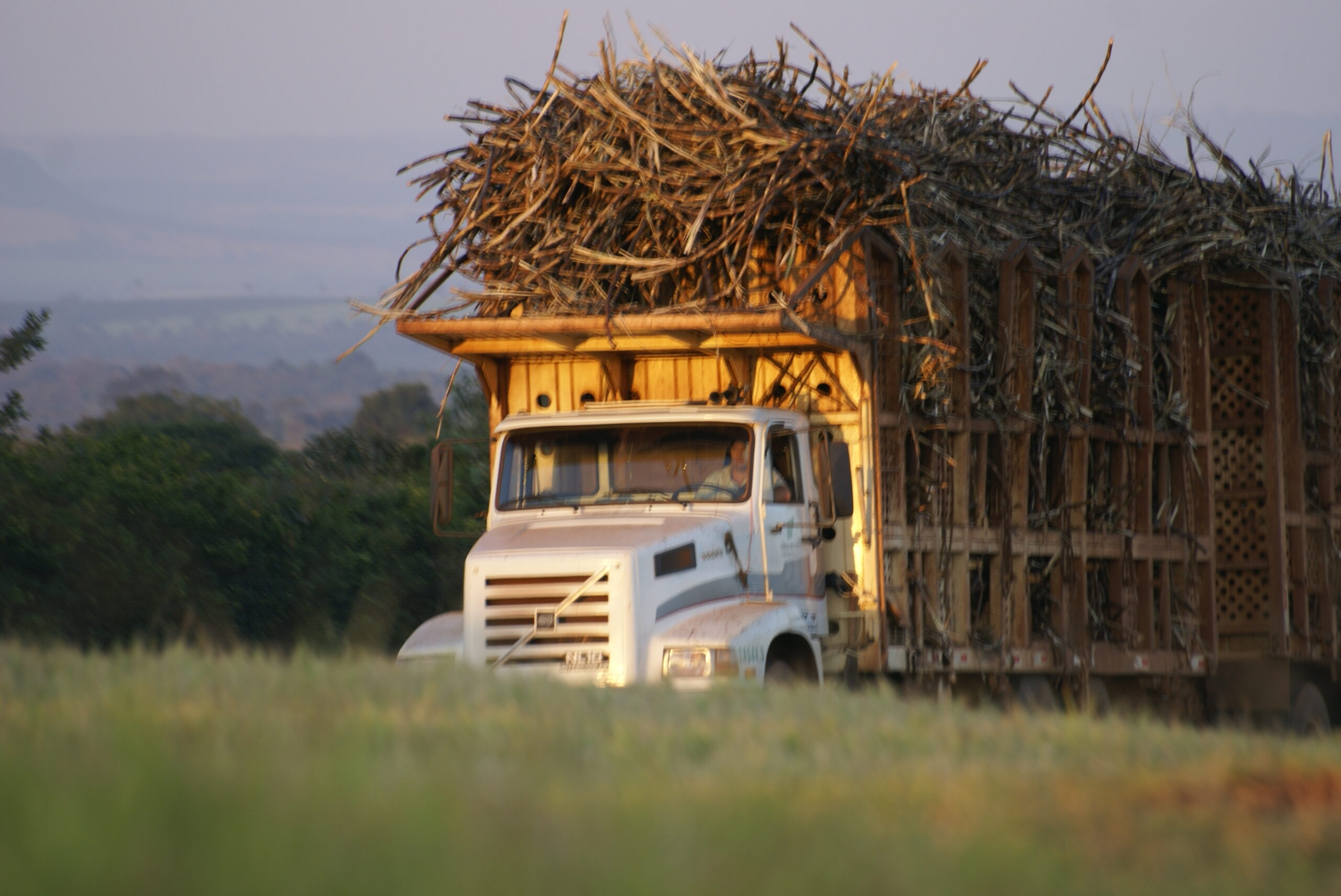 Documento regula transporte de cana-de-açúcar por caminhões