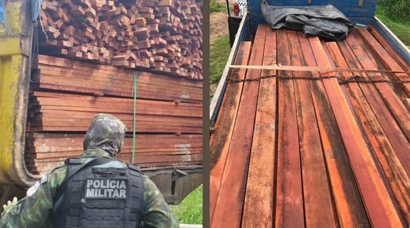 A CIPAmb efetuou a apreensão de caminhões com madeira ilegal