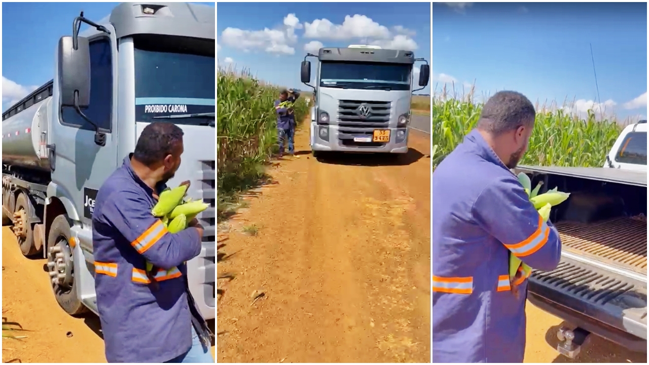 Fazendeiro pega motorista retirando milho em sua fazenda e grava toda a situação