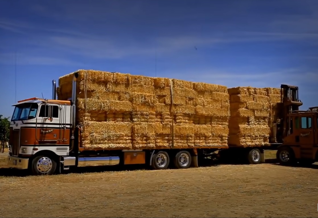 Conheça os dez caminhões agrícolas mais fantásticos do mundo