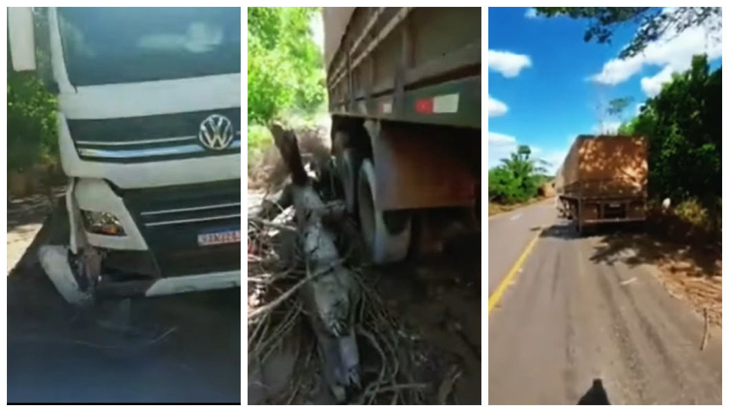 Caminhoneiro destrói caminhão para evitar colisão frontal com caminhonete