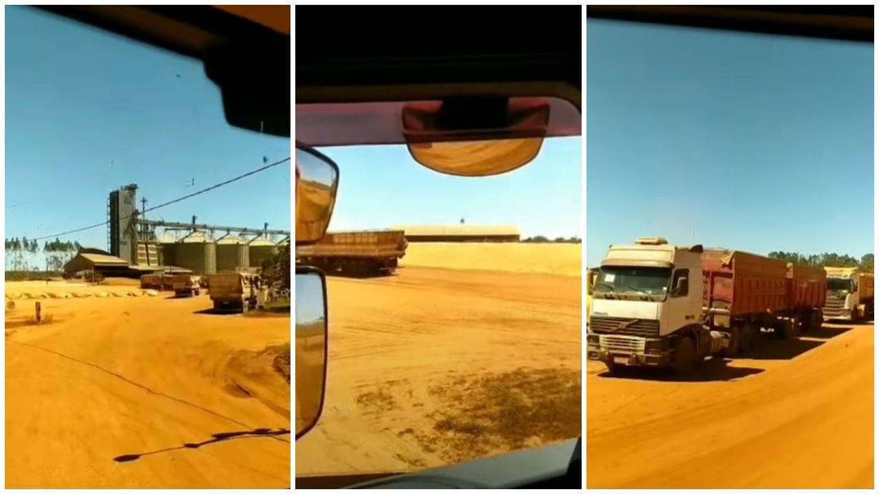 Video: Sem espaço nos silos, caminhoneiros são obrigados a descarregar no pátio da empresa.